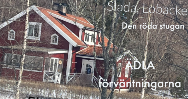 Vi hade ÄDLA förväntningar 1992!